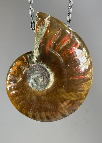 Ammonite Fossil Necklace