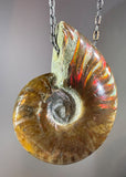 Ammonite Fossil Necklace