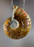 Ammonite Fossil Necklace