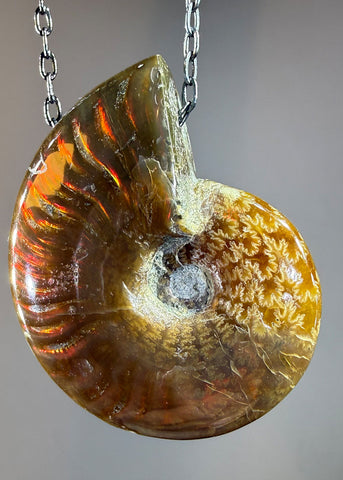 Ammonite Fossil Necklace