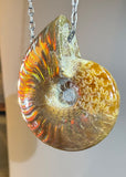 Ammonite Fossil Necklace