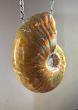 Ammonite Fossil Necklace