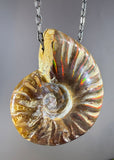 Ammonite Fossil Necklace