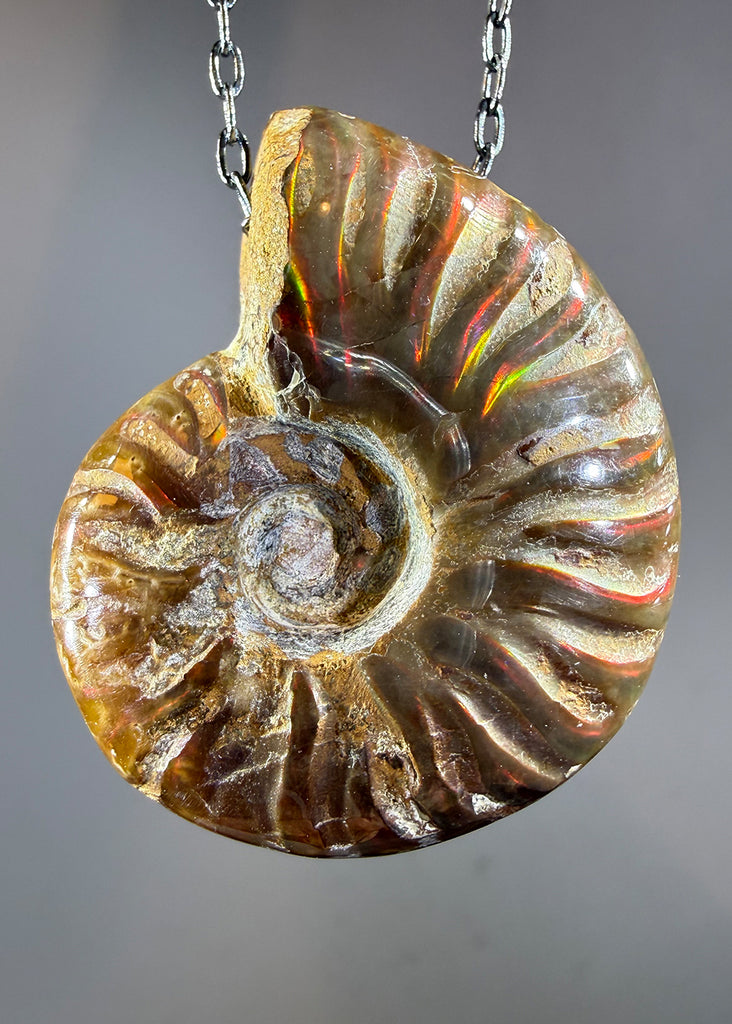 Ammonite Fossil Necklace