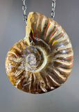 Ammonite Fossil Necklace