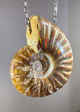 Ammonite Fossil Necklace