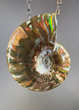Ammonite Fossil Necklace