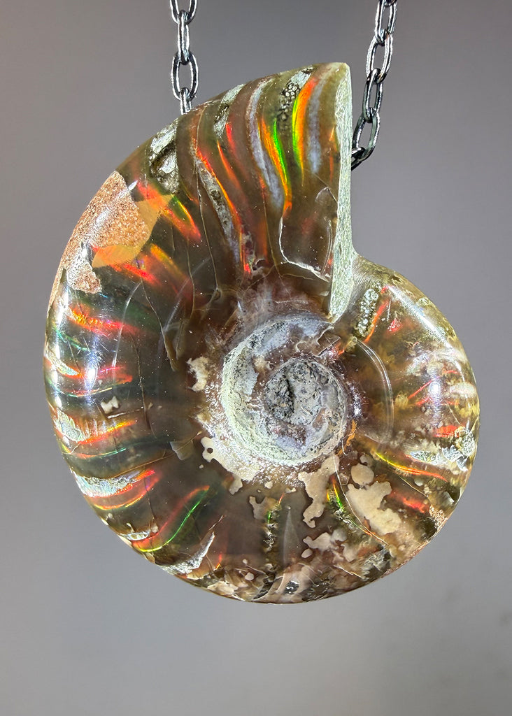 Ammonite Fossil Necklace