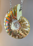Ammonite Fossil Necklace