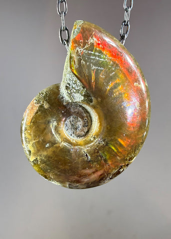 Ammonite Fossil Necklace