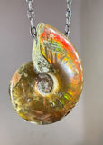 Ammonite Fossil Necklace