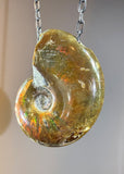 Ammonite Fossil Necklace