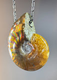 Ammonite Fossil Necklace