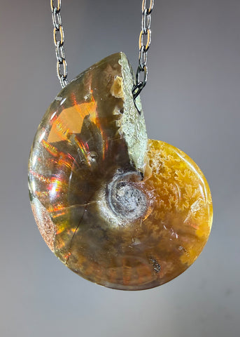 Ammonite Fossil Necklace