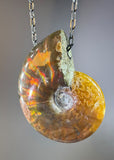 Ammonite Fossil Necklace