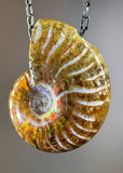 Ammonite Fossil Necklace