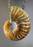 Ammonite Fossil Necklace