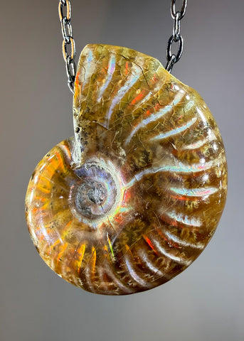 Ammonite Fossil Necklace