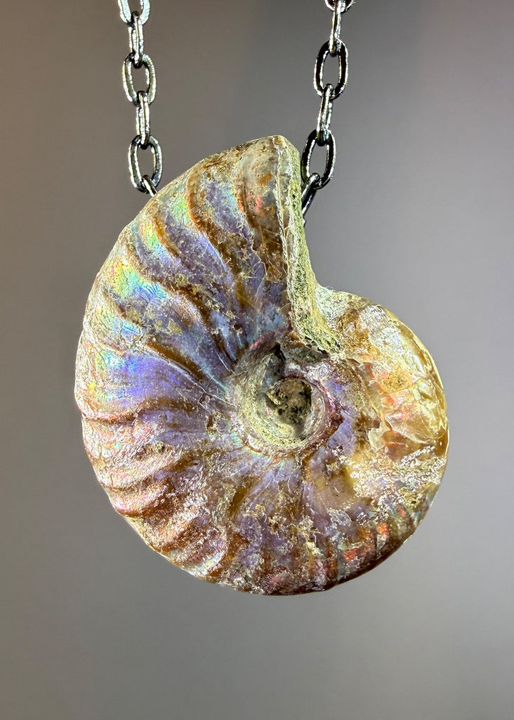 Ammonite Fossil Necklace