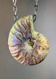 Ammonite Fossil Necklace