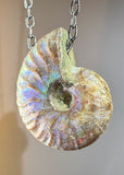 Ammonite Fossil Necklace