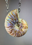 Ammonite Fossil Necklace