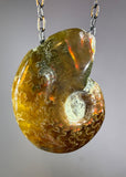 Ammonite Fossil Necklace