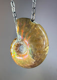 Ammonite Fossil Necklace