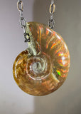 Ammonite Fossil Necklace