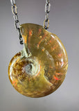 Ammonite Fossil Necklace