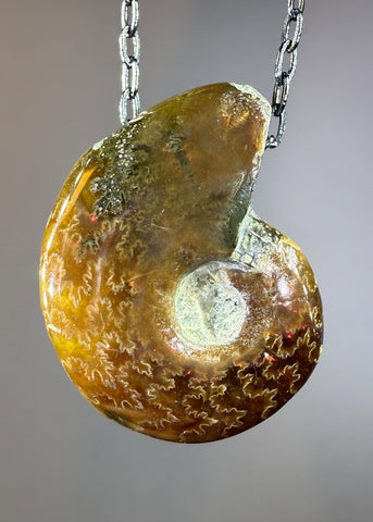 Ammonite Fossil Necklace