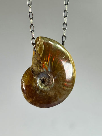 Ammonite Fossil Necklace