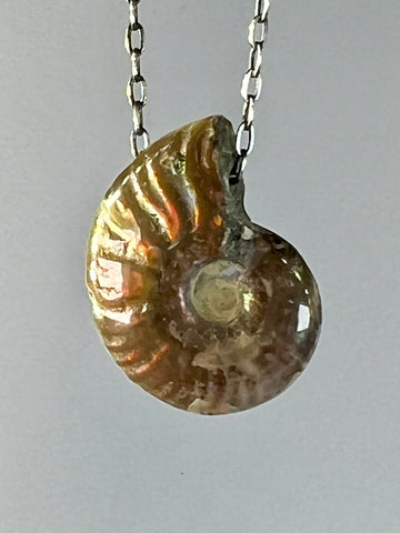 Ammonite Fossil Necklace