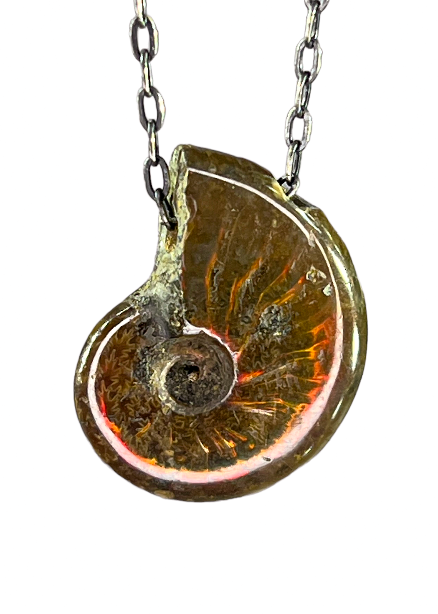 Fossil pendant 2025